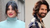 From Priyanka Chopra To Shahid Kapoor: Bollywood Celebs Who Regret Doing These Films