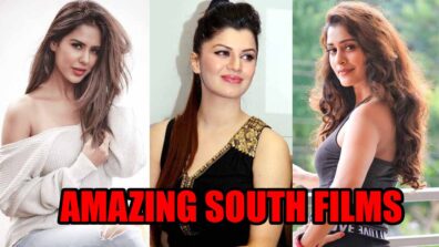 From Sonam Bajwa, to Kainaat Arora, and Payal Rajput: Take a look at these Punjabi divas and their amazing south films