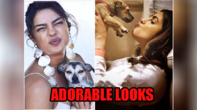 Heart Touching Moment: See Priyanka Chopra’s Adorable Moments With Her Puffy Furball, View Pics