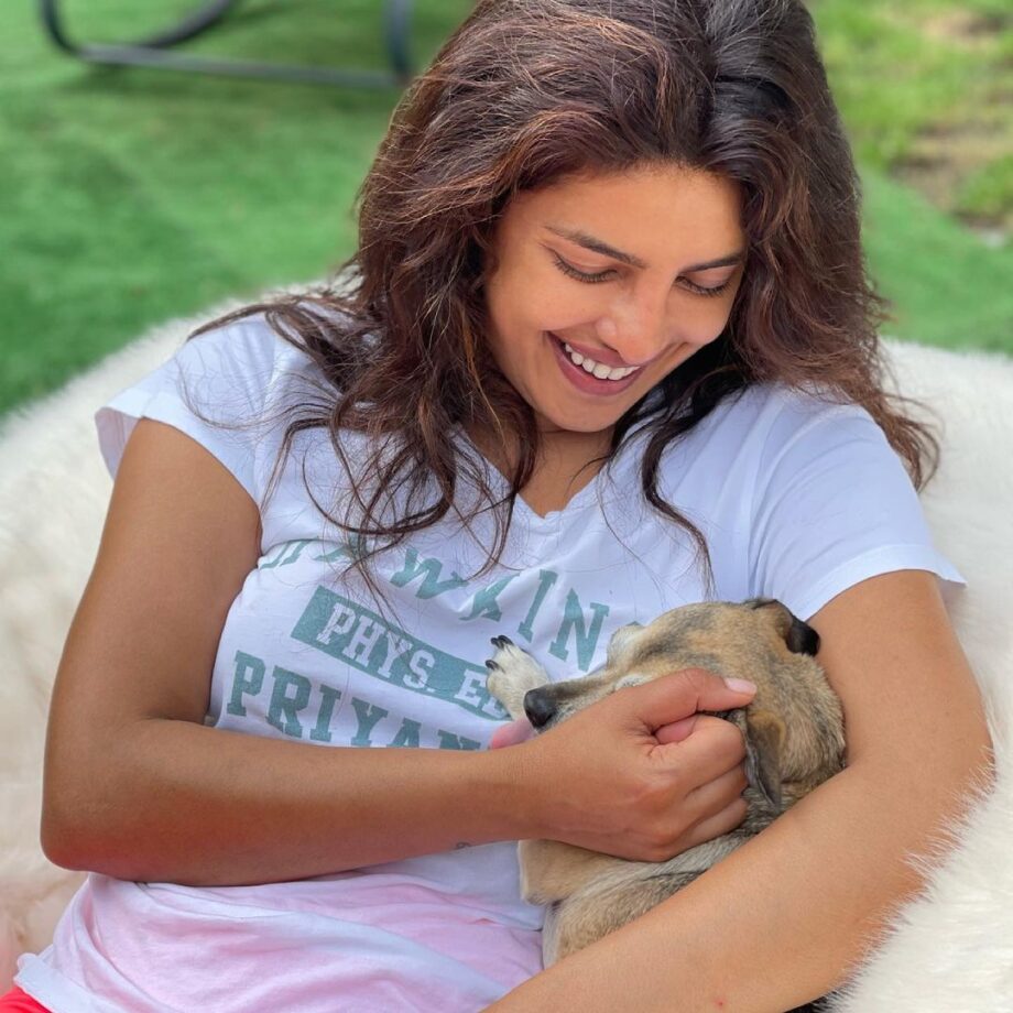 Heart Touching Moment: See Priyanka Chopra’s Adorable Moments With Her Puffy Furball, View Pics - 1