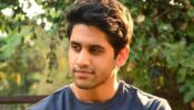 Here Are the 5 Best Movies Of Naga Chaitanya!