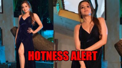 Hotness Alert! Bigg Boss fame Monalisa sets the gram on fire with these stunning clicks in a thigh-high slit dress, get ready to feel the heat