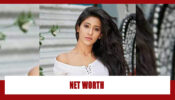 How Rich Is Shivangi Joshi aka Naira of Yeh Rishta Kya Kehlata Hai? Find Out