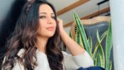 I don’t limit myself: Divyanka Tripathi opens up about selecting roles for projects