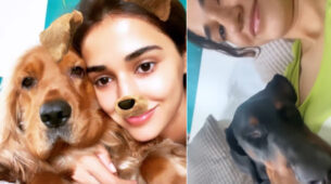In Video Disha Patani gets groovy to BTS’s Euphoria song with her pet dog, fans can’t stop showing love