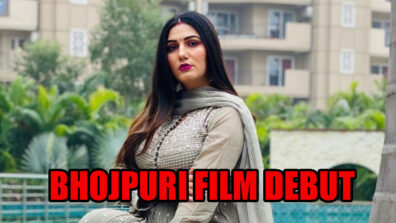 Is Sapna Choudhary Planning Her Bhojpuri Film Debut?