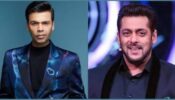 Karan Johar V/S Salman Khan: Better Bigg Boss host? (FAN BATTLE)