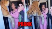 Khatron Ke Khiladi 11: Arjun Bijlani and Vishal Aditya Singh play a prank on Sana Makbul, scares her