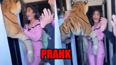 Khatron Ke Khiladi 11: Arjun Bijlani and Vishal Aditya Singh play a prank on Sana Makbul, scares her