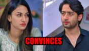 Kuch Rang Pyar Ke Aise Bhi- Nayi Kahani spoiler alert: Dev convinces Sonakshi to return home