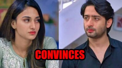 Kuch Rang Pyar Ke Aise Bhi- Nayi Kahani spoiler alert: Dev convinces Sonakshi to return home