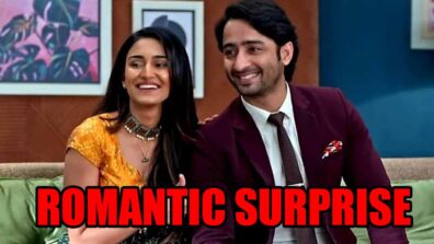 Kuch Rang Pyar Ke Aise Bhi- Nayi Kahani spoiler alert: Dev plans a romantic surprise for Sonakshi