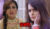 Kundali Bhagya spoiler alert: OMG! Rakhi to slap Sherlyn