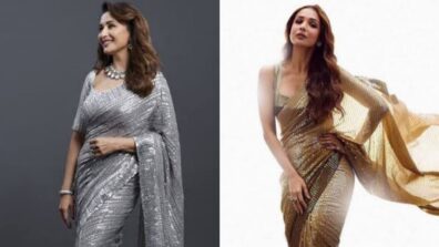 Madhuri Dixit VS Malaika Arora: Which B’Town Diva Kept Things Sizzling In Sequin Saree?