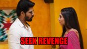 Mehndi Hai Rachne Waali spoiler alert: Pallavi decides to seek revenge from Mandar