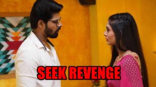 Mehndi Hai Rachne Waali spoiler alert: Pallavi decides to seek revenge from Mandar