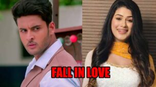 Meet spoiler alert: Meet Ahlawat falls for Manushi
