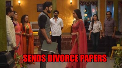 Mehndi Hai Rachne Waali spoiler alert: Pallavi sends divorce papers to Raghav