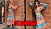 Mouni Roy sizzles in printed crop top and skirt, fans can’t stop praising