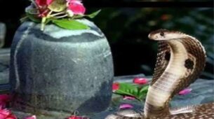 Naag Panchmi… 5 Saanp Operas You Cannot Afford To Miss