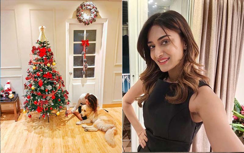 Nia Sharma, Mohsin Khan, Krystle D’Souza, Erica Fernandes: Here’s a quick glimpse into the houses of famous TV stars - 3