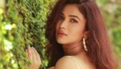 Bigg Boss OTT: Ridhima Pandit opens up on why she is seen majorly in reality shows and not daily soaps; says ‘I have never really planned my career’