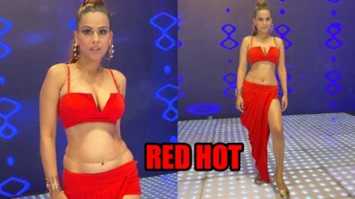 TV Queen Nia Sharma Is Slaying In Her Red Outfit