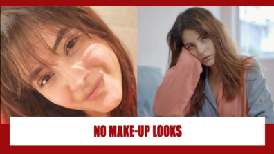 No make-up looks of Shehnaaz Gill to stun you