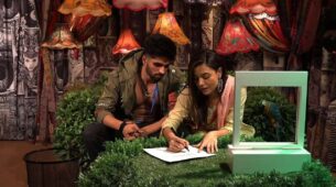 Nominations in the Bigg Boss OTT house have an interesting twist