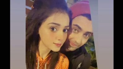 Oh So Adorable: RadhaKrishn fame Sumedh Mudgalkar & Mallika Singh step our for a private walk together, see viral pic