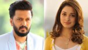 OH WOW! Tamannaah Bhatia-Riteish Deshmukh In New Netflix Romcom