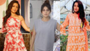 Old Is Gold: Drashti Dhami, Jennifer Winget and Adaa Khan’s latest sensuous moments can brighten up your day in seconds, see hot pics