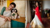 Onam Special: Malavika Mohanan gives fashion goals in a Half-saree, Keerthy Suresh turns table in pure traditional, see pics
