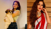 Palak Sindhwani & Sunayana Fozdar burn the oomph game with their hot avatars, fans sweat