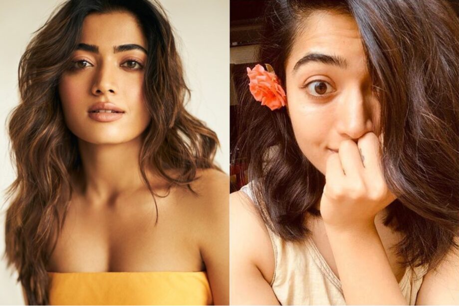 Rashmika Mandanna Vs Pooja Hedge: Which Diva Seems More Attractive? - 0