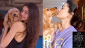 ROFL: Ananya Panday and Rashmika Mandanna are ‘proud parents’ in real life, see what’s happening