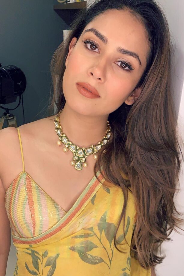 Shahid Kapoor’s Wife Mira Rajput Reveals Her DIY Skincare Tips You Shouldn’t Miss Out! - 0