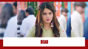 Shakti Astitva Ke Ehsaas Ki Spoiler Alert: OMG!! Is Heer DEAD?