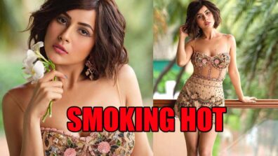 Shehnaaz Gill shares smoking hot photos in floral bralette and skirt, fans can’t stop praising