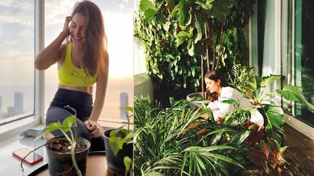 Shilpa Shetty Kundra To Twinkle Khanna: 5 Bollywood Celebs And Their Love For Gardening! Take A Look! - 3