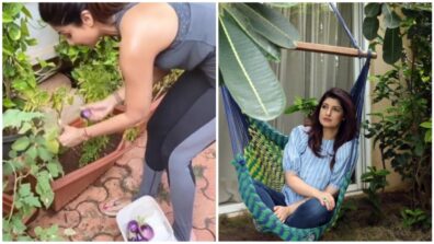 Shilpa Shetty Kundra To Twinkle Khanna: 5 Bollywood Celebs And Their Love For Gardening! Take A Look!