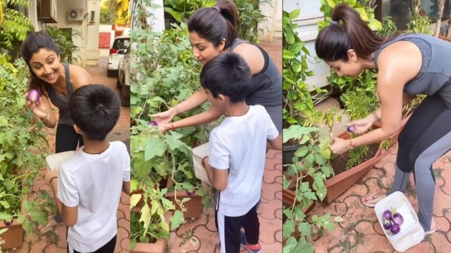 Shilpa Shetty Kundra To Twinkle Khanna: 5 Bollywood Celebs And Their Love For Gardening! Take A Look! - 0