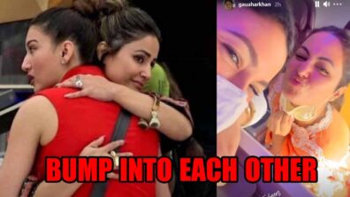 SHOCKING REACTION: Bigg Boss 14 seniors Gauahar Khan and Hina Khan bump into each other on a flight, you won’t believe what happened next