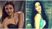 Shruti Hassan vs Kajal Agarwal: Who is the spicy chili?