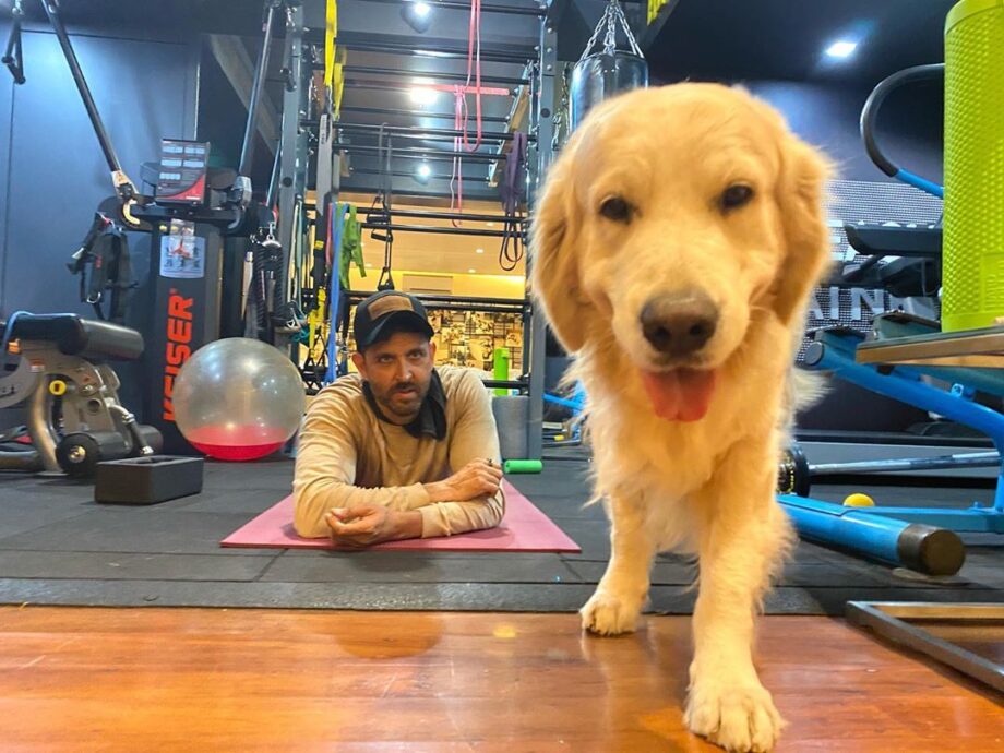 Siddhant Chaturvedi To Vicky Kaushal: These Actors Have An Astounding Home Gym! - 1