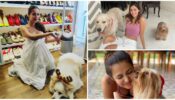 Sneak Peek – Which B-Town Members Have Pets? From Ananya Panday To Malaika Arora