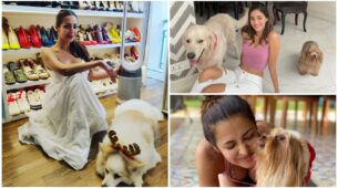 Sneak Peek – Which B-Town Members Have Pets? From Ananya Panday To Malaika Arora