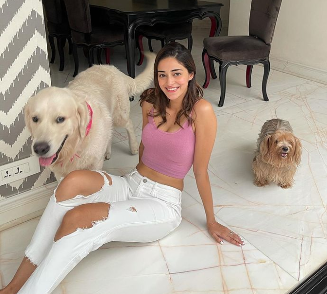 Sneak Peek – Which B-Town Members Have Pets? From Ananya Panday To Malaika Arora - 0