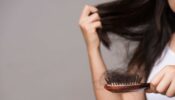 Some Of The Major Reasons For Losing Hair And Here Are Tips To Control Hair Fall
