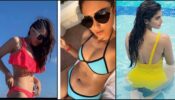 South Actress Bikini Challenge: Hansika Motwani Vs Pooja Hegde Vs Ileana D’Cruz: Who’s the fittest? (Fan Battle)